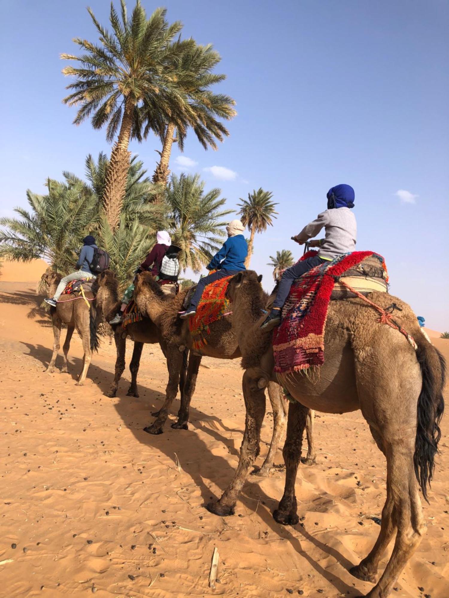 Bivouac Le Petit Prince Merzouga Buitenkant foto